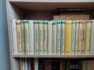 Книги. Зарубежная и российская фантастика (3 фото из 10)