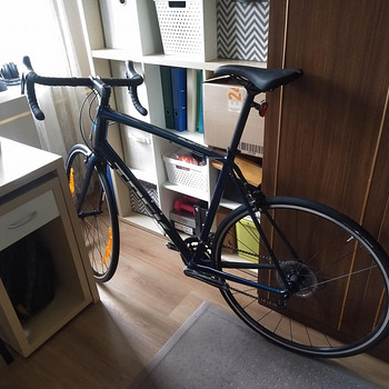 Trek Domane AL 2