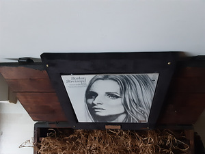 Barbra Streisand "12" autogrammiga rekord FS51T429 (2 foto / 9)