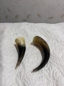 Sarv. Рог. (3 фото из 3)