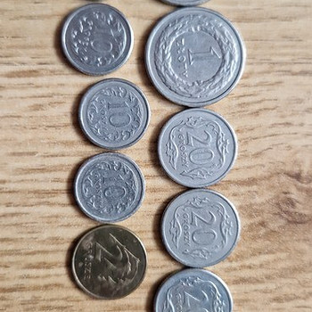 Poola mündid 10 tükki.