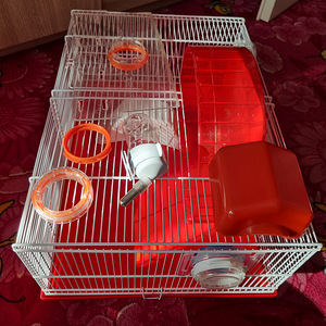 Клетка (3 фото из 4)