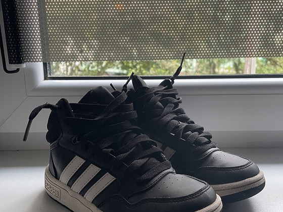 Tossud 31 adidas