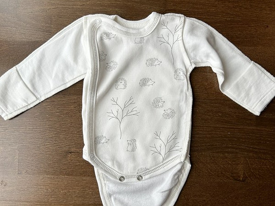 Lasteriided