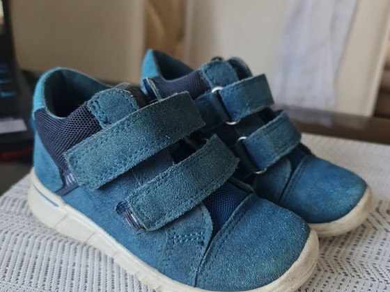 Ecco 24