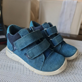 Ecco 24