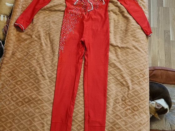 Õhuakrobaatika ülikond