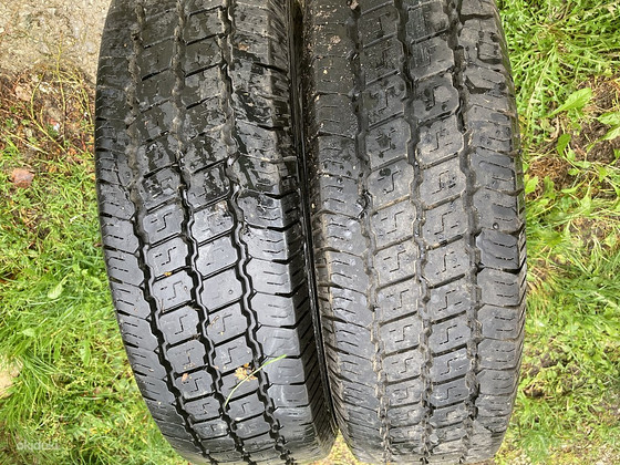 Suverehvid 13c/175