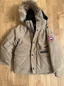 Canada goose (1 фото из 4)