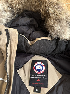 Canada goose (3 фото из 4)