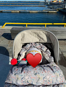 Elodie Details Stroller Footmuff / в Каламая (1 фото из 8)