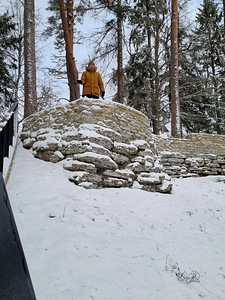 В поисках халтура (1 фото из 1)