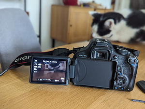 Canon Rebel T3i (600D)/ hind läbiräägitav (2 foto / 3)