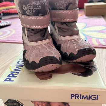 Зимние сапоги Primigi