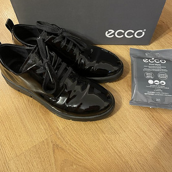 Ecco kingad 37