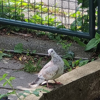 Poole kohaga töö