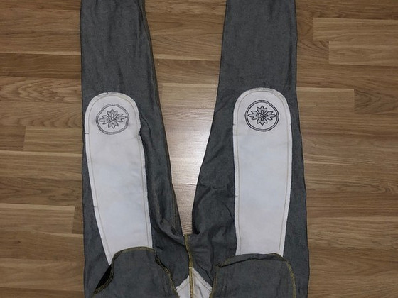 Evisu