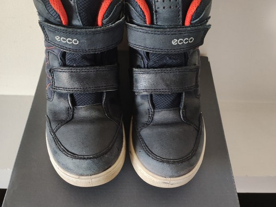 Ecco 29
