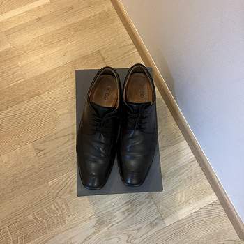 Ecco 44