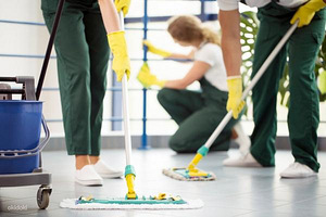 Pakkuda tööd puhastusteenindajale Mustamäel (1 фото из 1)