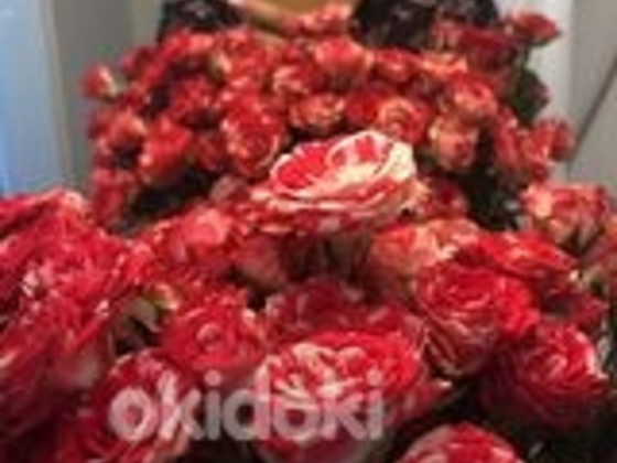 50 -aastane mees otsib tööd
