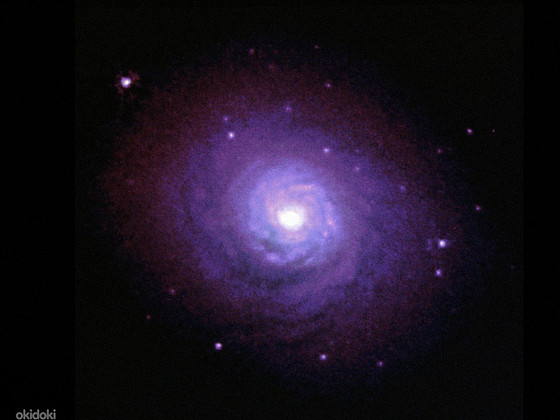 Keevitaja.