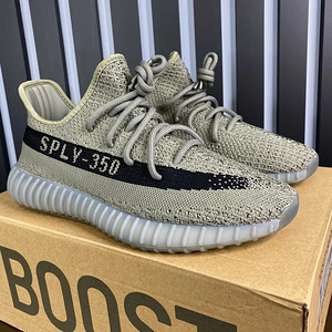 Adidas Yeezy 350 (1 фото из 3)