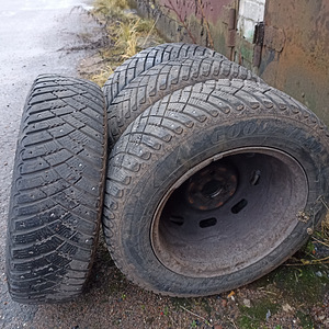 R14 ketastega naastrehvid (1 foto / 8)