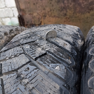 R14 ketastega naastrehvid (6 foto / 8)