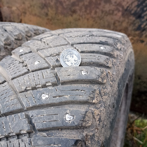 R14 ketastega naastrehvid (7 foto / 8)