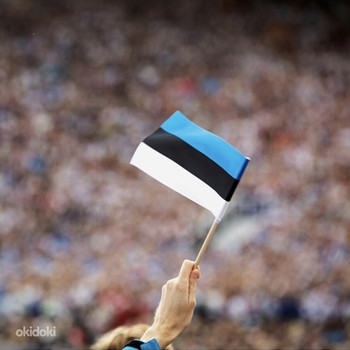 Eesti keele eraõpetaja
