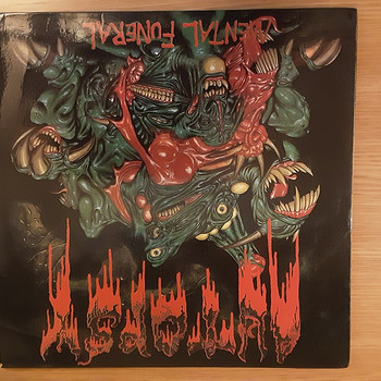 Vinil plastinki