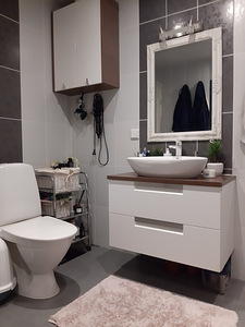 Soinaste tn 8d, Tammelinna, Tartu, Tartumaa (4 foto / 15)