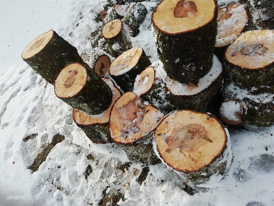 Дубовые связки
