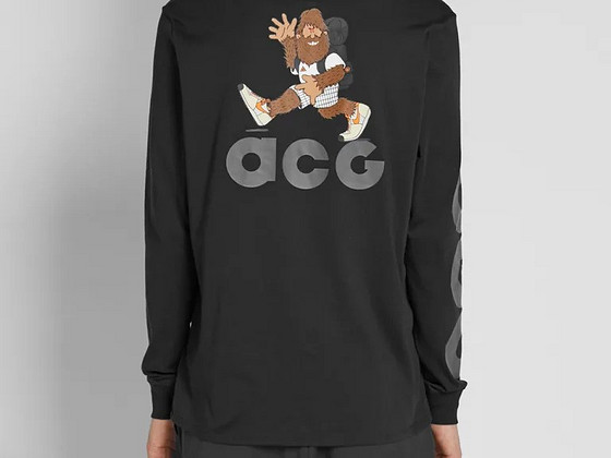 Футболка Nike ACG LS Jordan M
