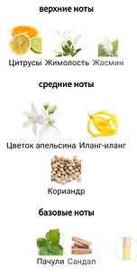 ДУХИ (4 фото из 4)