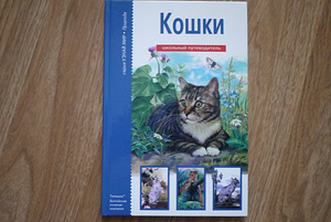 Книги для детей (8 фото из 10)