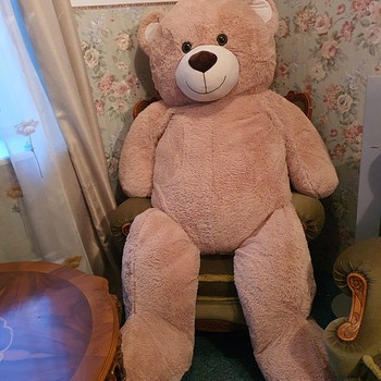Teddy karu