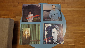 Vinyl (8 foto / 8)