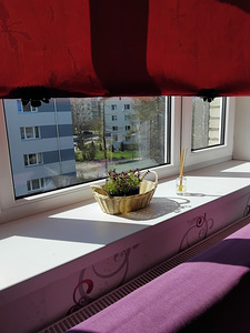 Vahe tn 6, Jõhvi, Jõhvi vald, Ida-Virumaa (7 foto / 13)