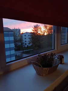 Vahe tn 6, Jõhvi, Jõhvi vald, Ida-Virumaa (13 foto / 13)