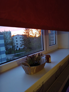 Vahe tn 6, Jõhvi, Jõhvi vald, Ida-Virumaa (13 фото из 13)