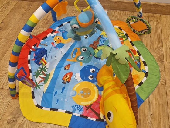 Развивающий коврик Baby Einstein, 81см x 81см