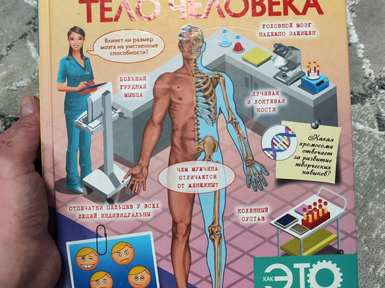 Книга Энциклопедия - тело человека