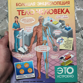 Книга Энциклопедия - тело человека