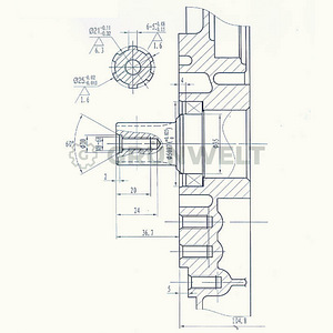 Weima WM186FBE diiselmootor (5 foto / 10)