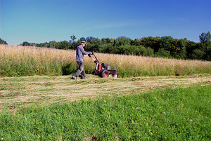 Panter FD3eco Briggs & Stratton (344cc) järelkäidav traktor (4 foto / 10)