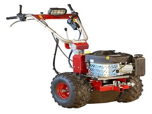 Мотоблок Panter FD3 Briggs & Stratton (500cc) (1 фото из 10)