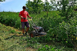 Panter FD2H Loncin (224cc) мотоблок с косилкой RZS70K (2 фото из 10)
