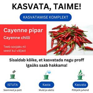 Kasvatamise komplekt. Hea kinkeidee. Saa mõnu kasvatamisest. (4 foto / 4)